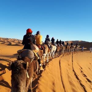 A WeRoad group trip riding camels in a single file line across orange desert dunes under a clear sky.
