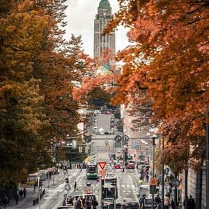 Una lunga strada di città, incorniciata da alberi con vivaci foglie autunnali arancioni, che si estende verso un'alta torre di chiesa in pietra in lontananza.