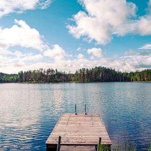 Un pontile di legno con una scala si estende in un lago calmo circondato da una fitta foresta sotto un cielo parzialmente nuvoloso.