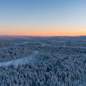 Veduta aerea di una vasta foresta collinare con alberi interamente coperti di neve al tramonto.