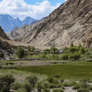A lush green valley with scattered trees sits between steep, rocky canyon walls, with distant snow-capped mountains under a cloudy sky.