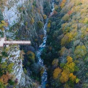 Vue aérienne d'une plateforme d'observation en forme de croix surplombant un canyon profond avec une rivière et des forêts automnales.