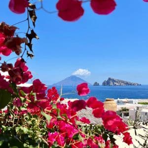 Una vista attraverso vivaci bougainvillea rosa di un'isola vulcanica fumante e di un altro isolotto in un mare blu calmo.