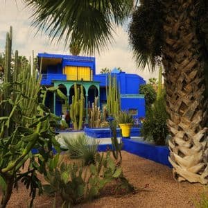 Un bâtiment bleu vif avec des accents jaunes se dresse dans un jardin désertique rempli de divers types de cactus et de palmiers.