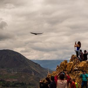 Un viaggio di gruppo WeRoad su un punto panoramico roccioso fotografa un condor che vola su un canyon di montagna sotto un cielo nuvoloso.