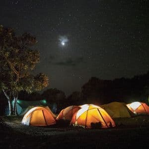 Several illuminated tents are pitched at a campsite in a clearing at night, under a dark sky full of stars.
