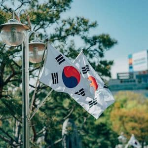 Two South Korean flags attached to a metal lamppost wave in the wind, with a green tree and blue sky in the background.