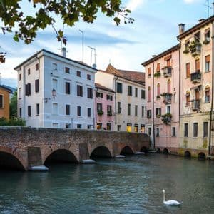 Un cigno bianco nuota in un fiume che scorre sotto un vecchio ponte di mattoni, con edifici colorati che fiancheggiano la riva.