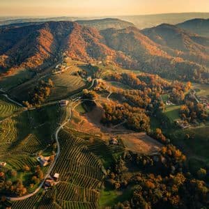 Una veduta aerea di colline ondulate ricoperte di vigneti terrazzati e foreste autunnali colorate al tramonto.