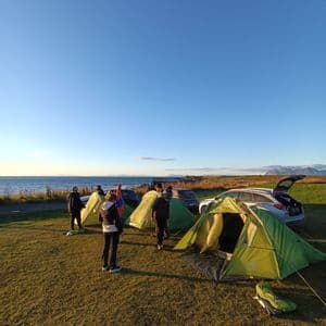 Un viaje en grupo de WeRoad montando varias tiendas verdes en un camping de césped junto al mar bajo un cielo azul claro.