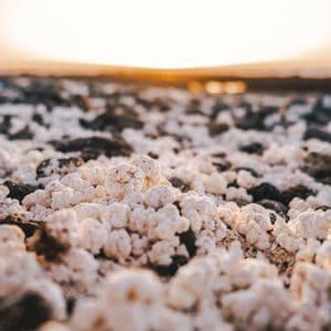 Eine Nahaufnahme aus der Froschperspektive von weißen, popcornartigen Mineralformationen, die den Boden bedecken, mit einem hellen Sonnenuntergang am Horizont.