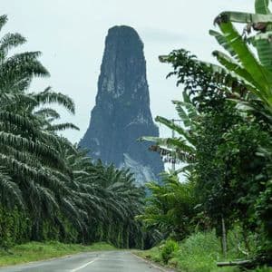 Una strada asfaltata attraversa una lussureggiante giungla di palme verso un'alta e ripida cima rocciosa in lontananza.