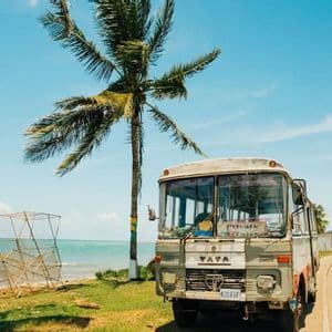 Un autobus Tata d'epoca parcheggiato su una strada costiera accanto a una palma, con nasse da pesca sull'erba e l'oceano sullo sfondo.