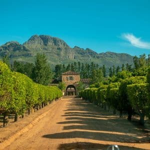 Un chemin de terre bordé de rangées d'arbres verts taillés mène à un bâtiment en pierre au pied d'une grande montagne sous un ciel bleu clair.