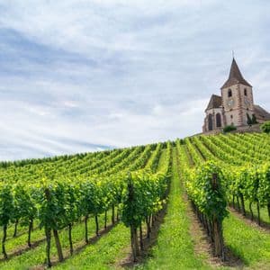 Filari di viti verdi ricoprono una collina che porta a un'antica chiesa in pietra sotto un cielo parzialmente nuvoloso.