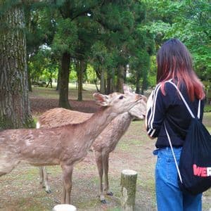 Eine Frau mit einem WeRoad-Rucksack interagiert mit zwei Rehen in einem Park mit hohen Bäumen im Hintergrund.