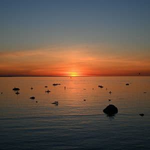 Uccelli e rocce si stagliano su un mare calmo, riflettendo la luce di un tramonto arancione all'orizzonte.