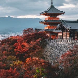 A traditional Japanese pagoda with red accents stands on a hill surrounded by trees with autumn foliage, overlooking a city and distant mountains.