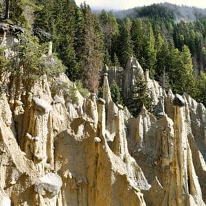 Hohe, spitze Erdpyramidenformationen an einem steilen Hang, mit einem dichten Kiefernwald im Hintergrund.