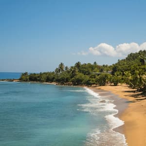 Una vista aérea de una playa tropical apartada con agua turquesa, arena dorada y exuberantes palmeras verdes bajo un cielo azul.