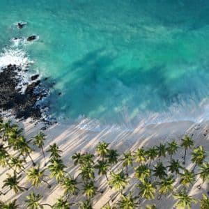 Una veduta aerea dall'alto di una costa tropicale con acqua turchese, sabbia bianca e un denso palmeto.