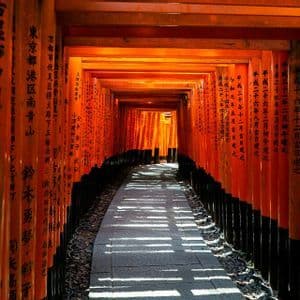 A stone pathway leads through a long tunnel of vibrant orange torii gates inscribed with Japanese calligraphy, casting shadows on the ground.