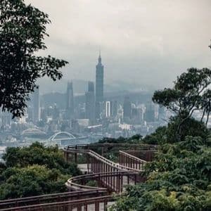 Una passerella sopraelevata si snoda tra gli alberi su una collina, affacciandosi su un vasto skyline cittadino con un prominente grattacielo.