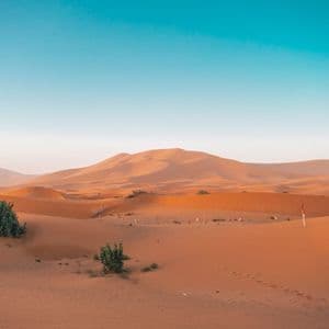 Un paesaggio di dolci dune di sabbia arancione con pochi cespugli verdi sotto un cielo azzurro e luminoso.