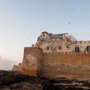 Una persona con una camicia a quadri siede con un gatto su scogli costieri, guardando una grande, logora muraglia di fortezza al tramonto.