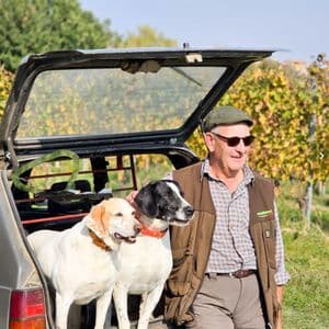 Un uomo anziano con berretto e occhiali da sole in piedi accanto a un bagagliaio d'auto aperto, contenente due cani da caccia, con un vigneto sullo sfondo.