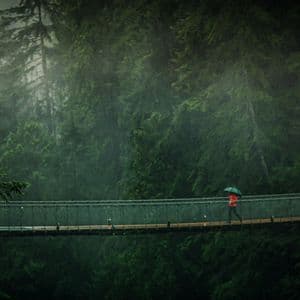 A person in a red jacket holding an umbrella walks across a suspension bridge in a rainy, dense forest.