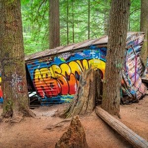 Wrecked train cars covered in colorful graffiti rest among tall trees in a dense forest.