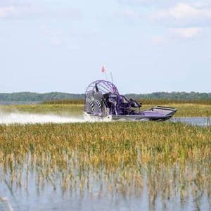 A purple airboat speeds through a marshy wetland filled with tall reeds, kicking up a white spray of water.