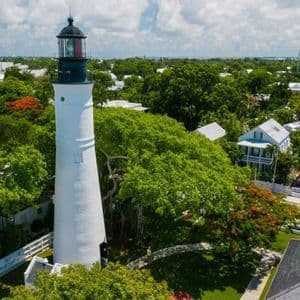 An aerial view of a tall, white lighthouse with a black top standing among lush green trees and houses in a coastal town.