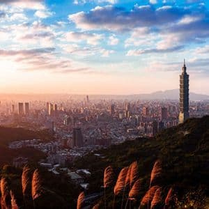 Un vaste paysage urbain avec un gratte-ciel proéminent au coucher du soleil, vu d'une colline verdoyante et de plantes ensoleillées au premier plan.