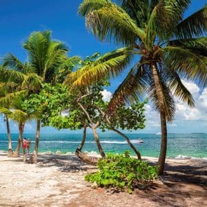 Palme su una spiaggia di sabbia che costeggia un oceano turchese e calmo sotto un cielo blu con nuvole bianche.