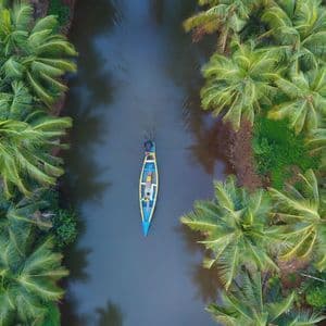 Vista aérea de un colorido bote en un río, flanqueado por un denso bosque de palmeras verdes.