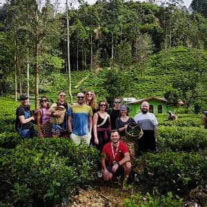 Un gruppo WeRoad si fa fotografare in una lussureggiante piantagione di tè verde su un fianco di collina terrazzato.