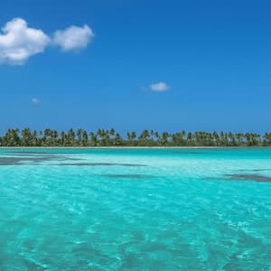 Una lontana costa tropicale fiancheggiata da palme, visibile attraverso acque limpide e turchesi sotto un cielo azzurro.