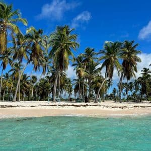 Una spiaggia tropicale con sabbia bianca e numerose alte palme, vista dall'acqua limpida e turchese sotto un cielo blu.