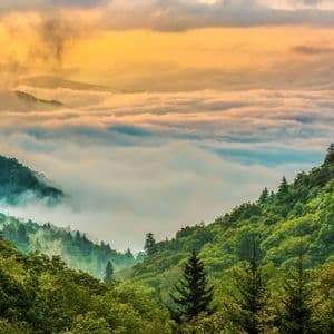 A sea of fog fills a valley between green, forest-covered mountains under a golden sky at sunset.