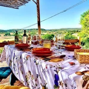 A dining table with a floral tablecloth is set with red plates and wine glasses on a terrace overlooking rolling green hills.