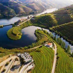 An aerial view of a river winding through a valley with green terraced vineyards and a small, curved lake.