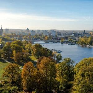 An aerial view of a park with autumn trees alongside a river, with a city skyline in the background under a clear sky.