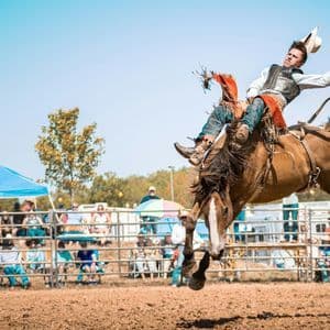 A cowboy rides a bucking horse in mid-air during a rodeo competition as an audience watches from behind a fence.