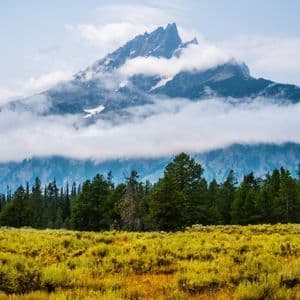 A rugged mountain peak with snow patches rises above a layer of clouds, overlooking a pine forest and a yellow-green field.