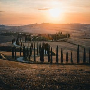 Una strada tortuosa, fiancheggiata da alti cipressi, conduce su una collina ondulata verso una villa al tramonto.