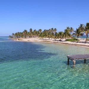 A wooden pier extends into clear turquoise water next to a sandy beach lined with palm trees.