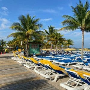 Rows of empty blue lounge chairs sit on a sandy beach next to a wooden boardwalk, with palm trees and the ocean in the background.