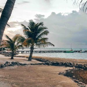 Palm trees on a sandy beach next to the ocean, with a long wooden pier and moored boats under a cloudy sky.